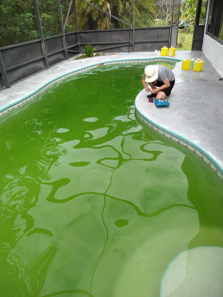 Oasis Pool Solutions | Green to clean pool services | Jensen Beach Florida